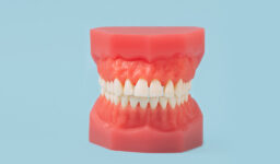 Can you get dentures for back teeth?